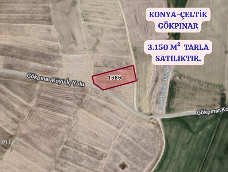 KONYA ÇELTİK GÖKPINAR  KÖYÜNDE 3.150  M² TARLA  SATILIKTIR - KONYA ÇELTİK fotoğraf 2