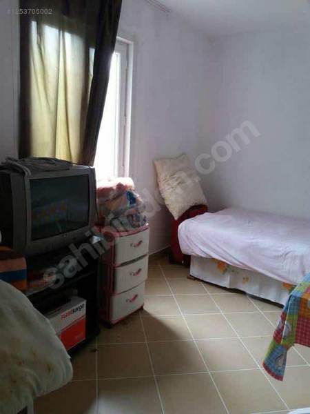 BURSA MUDANYA DEREKÖY KÖYÜNDE 2.526 M²  ZEYTİNLİK SATILIKTIR - BURSA MUDANYA fotoğraf 5