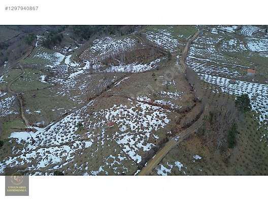 DÜZCE YIĞILCA HACILAR 'DA 2.744 M2 BAĞ EVİ OLAN FINDIK BAHÇESİ - DÜZCE YIĞILCA fotoğraf 11