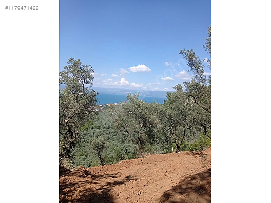 BURSA İZNİK GÖLLÜCE KÖYÜNDE 2.305 M GÖL MANZARALI  BUNGALOVLUK ARSA SATILIKTIR - BURSA İZNİK fotoğraf 4