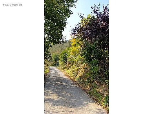 2570 m2 İCERİSİNDE 200m2 YOLA SIFIR YAPILI DUBLEKS DAİRE - GİRESUN PİRAZİZ fotoğraf 23