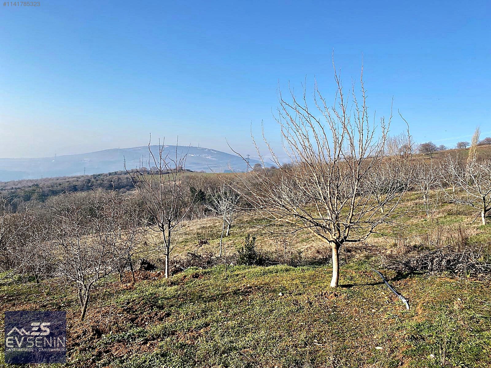 BURSA KARACABEY YARIŞ SU HAVUZLU SATILIK 10.255 M2 VERİMLİ ARAZİ - BURSA KARACABEY fotoğraf 4
