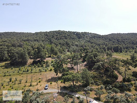 İlan Resmi