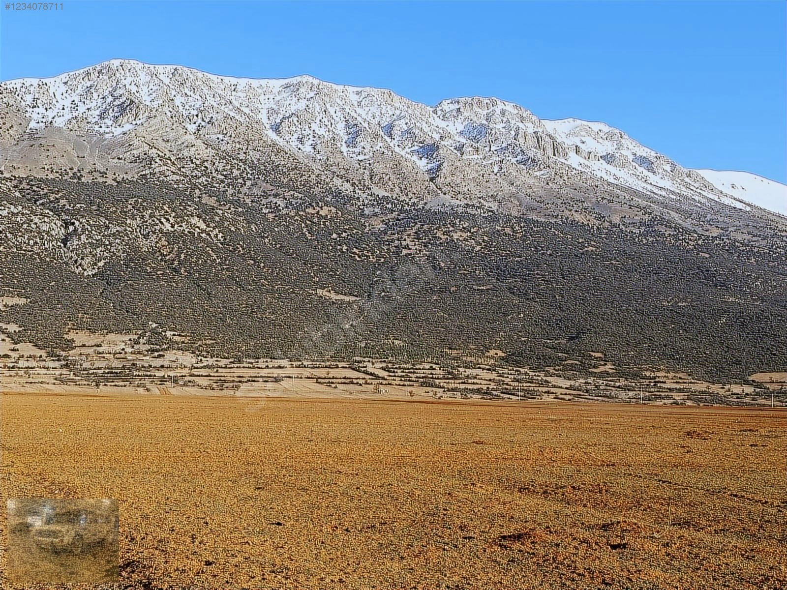 acil satılıkYazır a komşu olan imecik'te 950mtek tapuyer acildir - ANTALYA KORKUTELİ fotoğraf 29