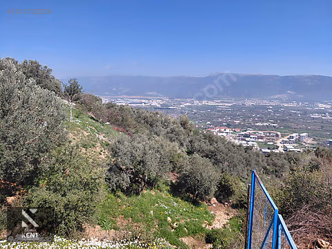 Kemalpaşa Soğukpınar İmar Gelişim Alanında Satılık 2,877m2 Bahçe - İZMİR KEMALPAŞA fotoğraf 20