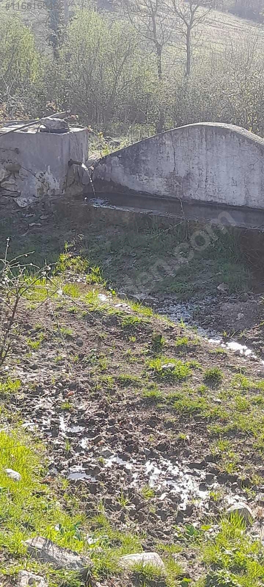 BALIKESİR DURSUNBEY VELİLER  KÖYÜNDE 425 M² BAHÇE SATILIKTIR - BALIKESİR DURSUNBEY fotoğraf 4
