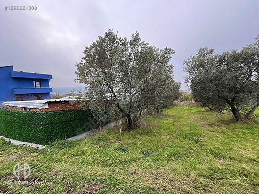 BÖLGE UZMANI HAS EMLAK DENİZ MANZARALI FIRSAT HOBİ BAHÇESİ - BURSA MUDANYA fotoğraf 14