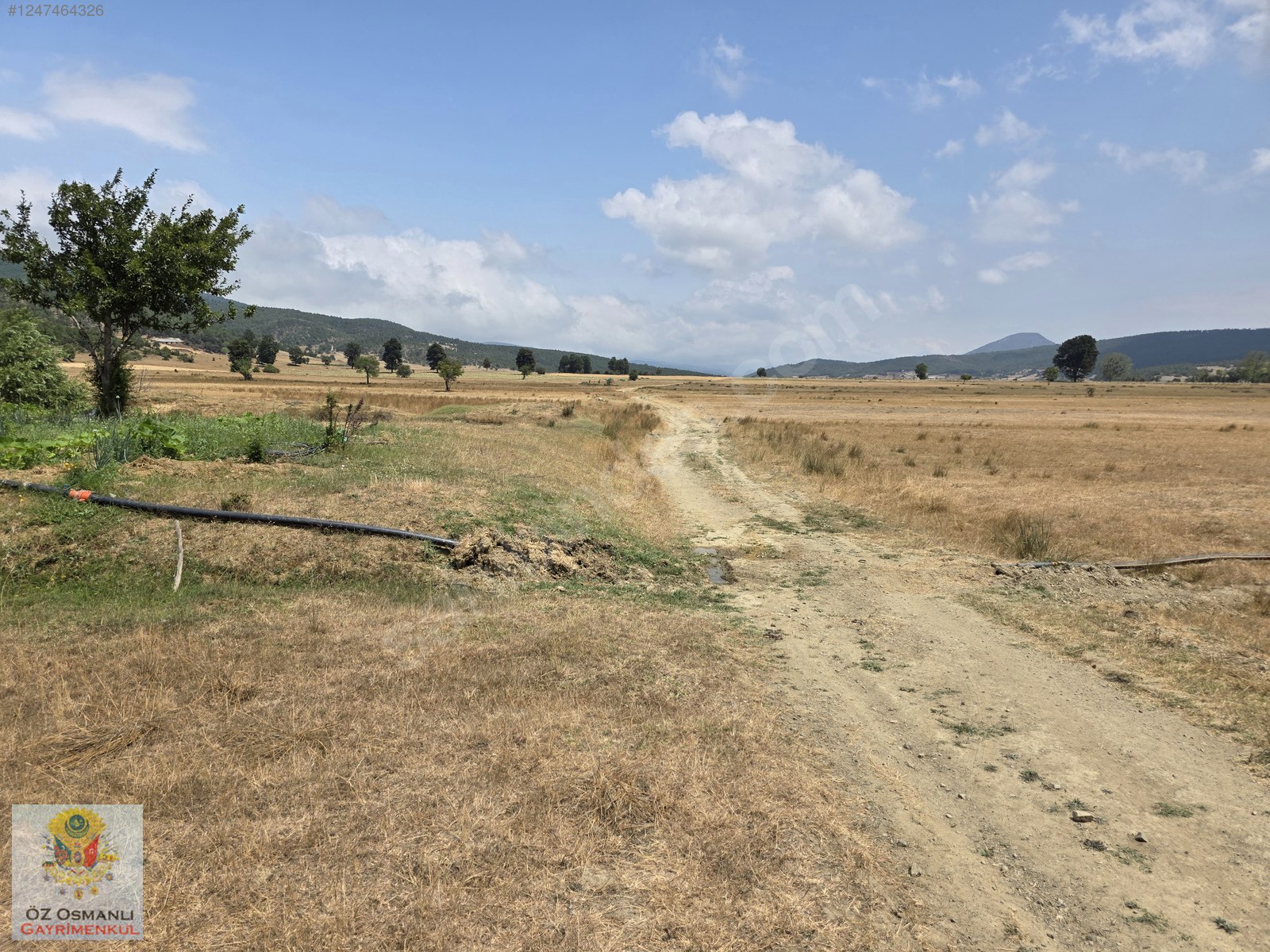 RESMİ YOLU OLAN 4,600 m2 ÇİFTLİK ARAZİSİ KAÇMAZ ! - BİLECİK OSMANELİ fotoğraf 10