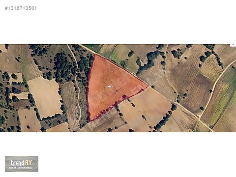 Bozüyük Baharözü'nde 1222m² Satılık Köşe Parsel Arsa - BİLECİK BOZÜYÜK fotoğraf 10