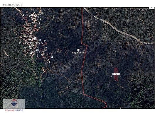 BURSA ORHANGAZİ NARLICA MAH. 1.247 M2 SATILIK ZEYTİNLİK - BURSA ORHANGAZİ fotoğraf 13