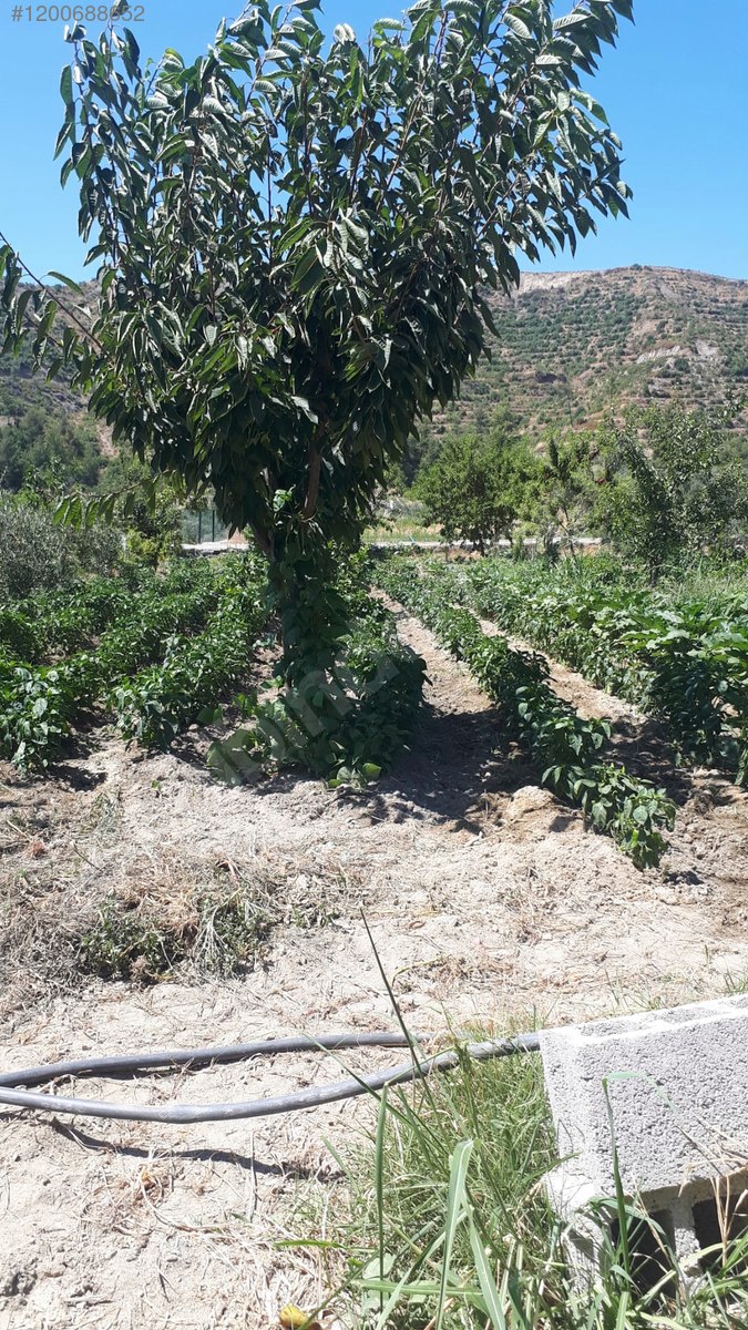 KARLISU'DA TERCİH EDİLEN BÖLGEDE MASRAFSIZ SAHİBİNDEN ARSA 1.180 M² - HATAY ANTAKYA fotoğraf 15