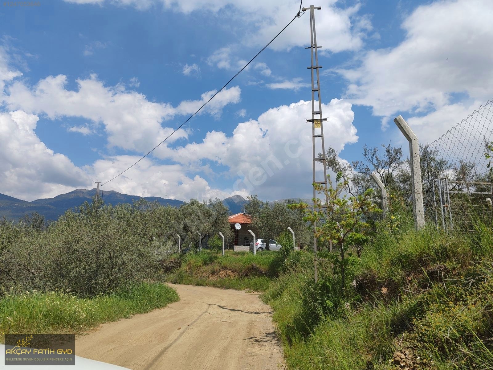 Hacıarslanlar da 3.100m2 SATILIK Kaçmaz Fırsat Zeytinlik - BALIKESİR EDREMİT fotoğraf 12