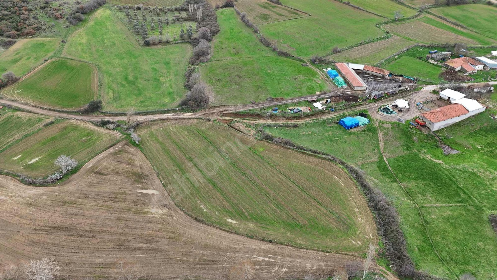 BURSA KARACABEY SEYRAN  KÖYÜNDE  1.125 M²  TARLA SATILIKTIR - BURSA KARACABEY fotoğraf 5