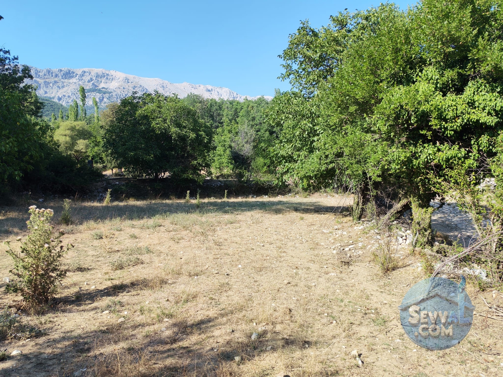 AĞLASUN KIRAÇ MAHALLESİNDE DOĞA İLE İÇ İÇE FIRSAT ARAZİ - Burdur Ağlasun fotoğraf 19