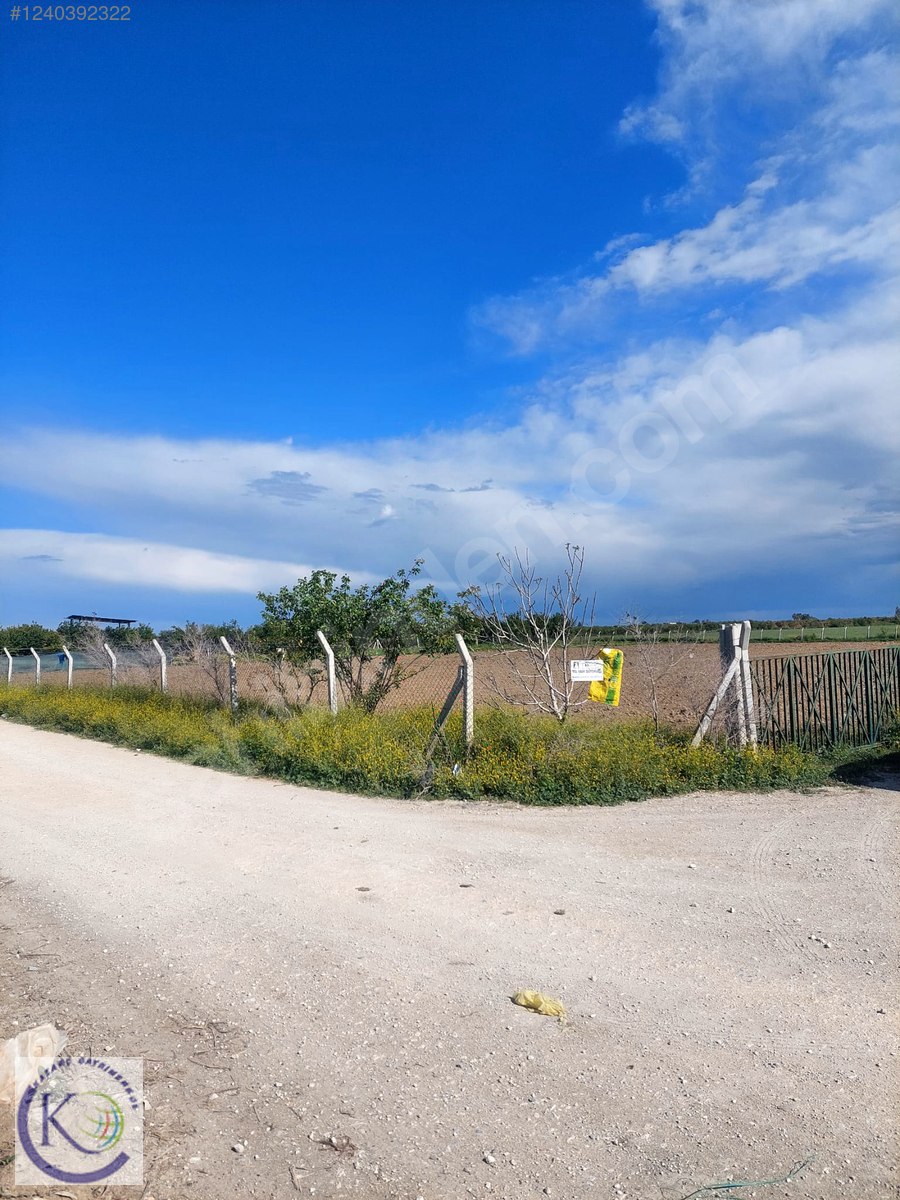 TARSUS MAHMUTAĞA KÖYÜ'NDE SATILIK 8.500 m TARLA - MERSİN TARSUS fotoğraf 7