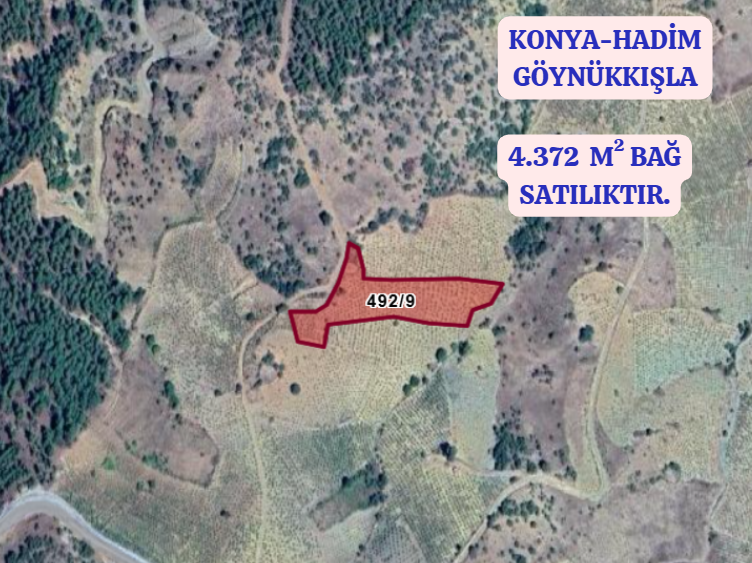 KONYA HADİM GÖYNÜKKIŞLA  KÖYÜ’NDE 4.372 M² BAĞ SATILIKTIR - KONYA HADİM fotoğraf 2