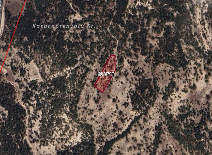 KÜTAHYA MERKEZ SEYDİKÖY  KÖYÜNDE 3.149  M² TARLA  SATILIKTIR