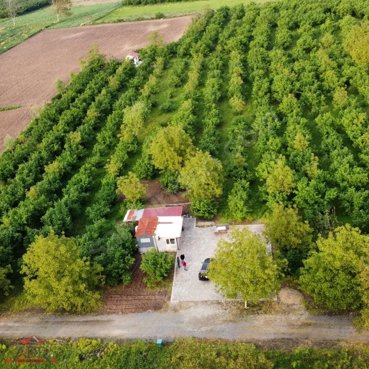 SAKARYA ARİFİYE KEMALİYE KÖYÜNDE 10866M2SATILIK.yıl sonuna kadar - SAKARYA ARİFİYE fotoğraf 26