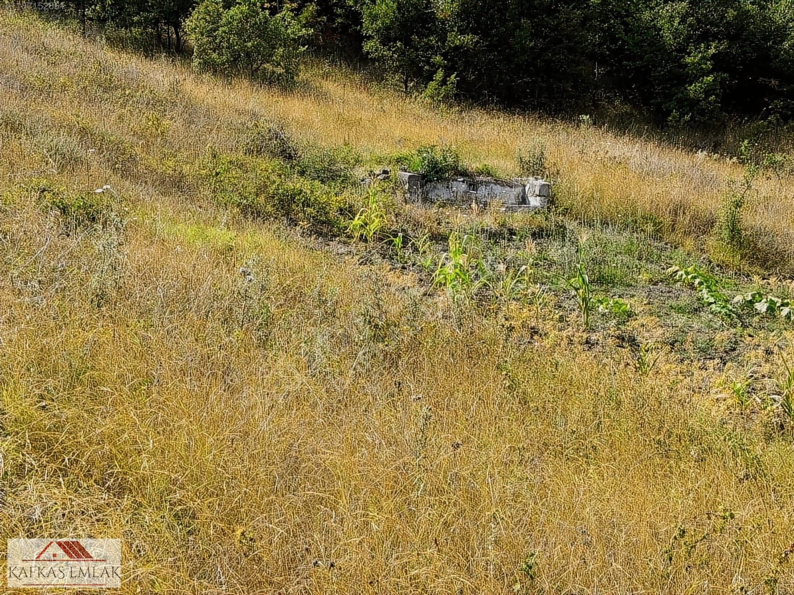 ALPAĞUT MAHALLESİ 5.125 M² KÖY ASFALTINA CEPHE SATILIK TARLA - BURSA MUSTAFAKEMALPAŞA fotoğraf 12
