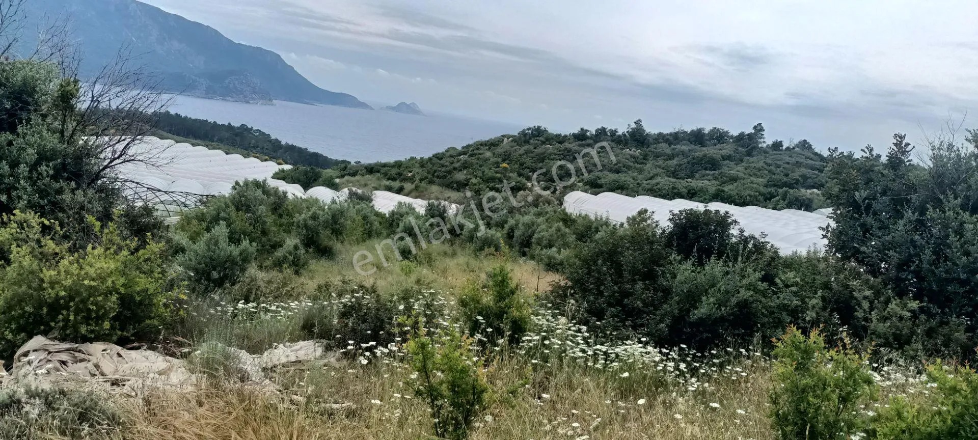 Kumluca Yenicepınar Da Deniz Manzaralı Satılık Arsa-tarla - ANTALYA KUMLUCA fotoğraf 9