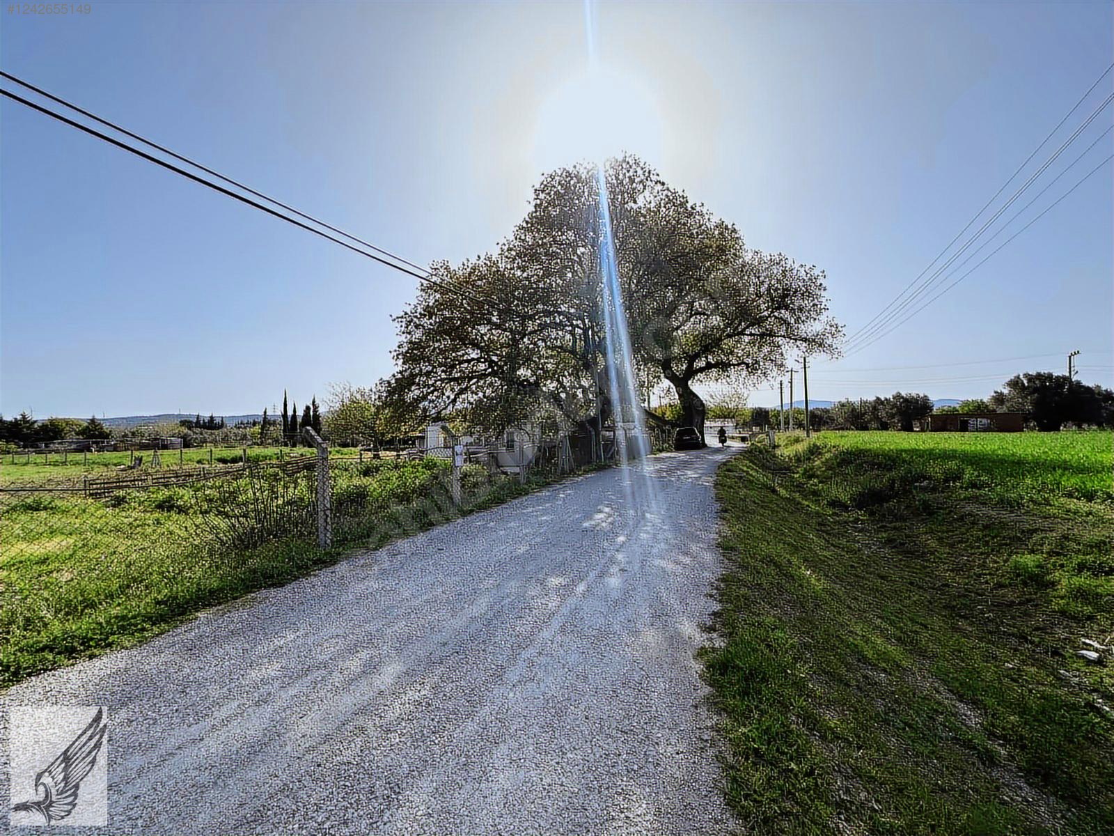 Urla kuşcular da 6600 m2 imara yakın Konumda ARAZİ - İZMİR URLA fotoğraf 4