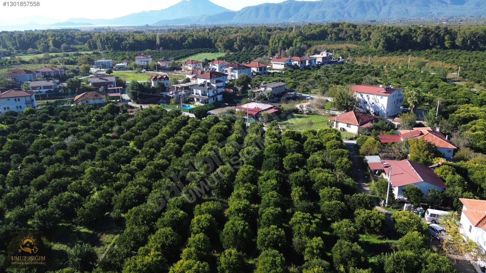 TOPARLARDA , YERLEŞİM ALANINDA SATILIK - MUĞLA KÖYCEĞİZ fotoğraf 15
