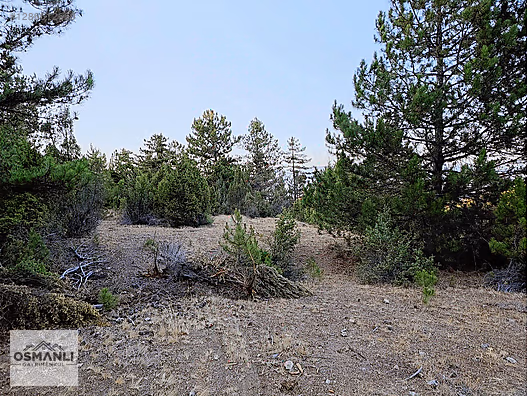 ARAÇ TAKASLI 3.150 M2, İLÇEYE 5 DK MESAFEDE YATIRIM FIRSATI - BİLECİK SÖĞÜT fotoğraf 18