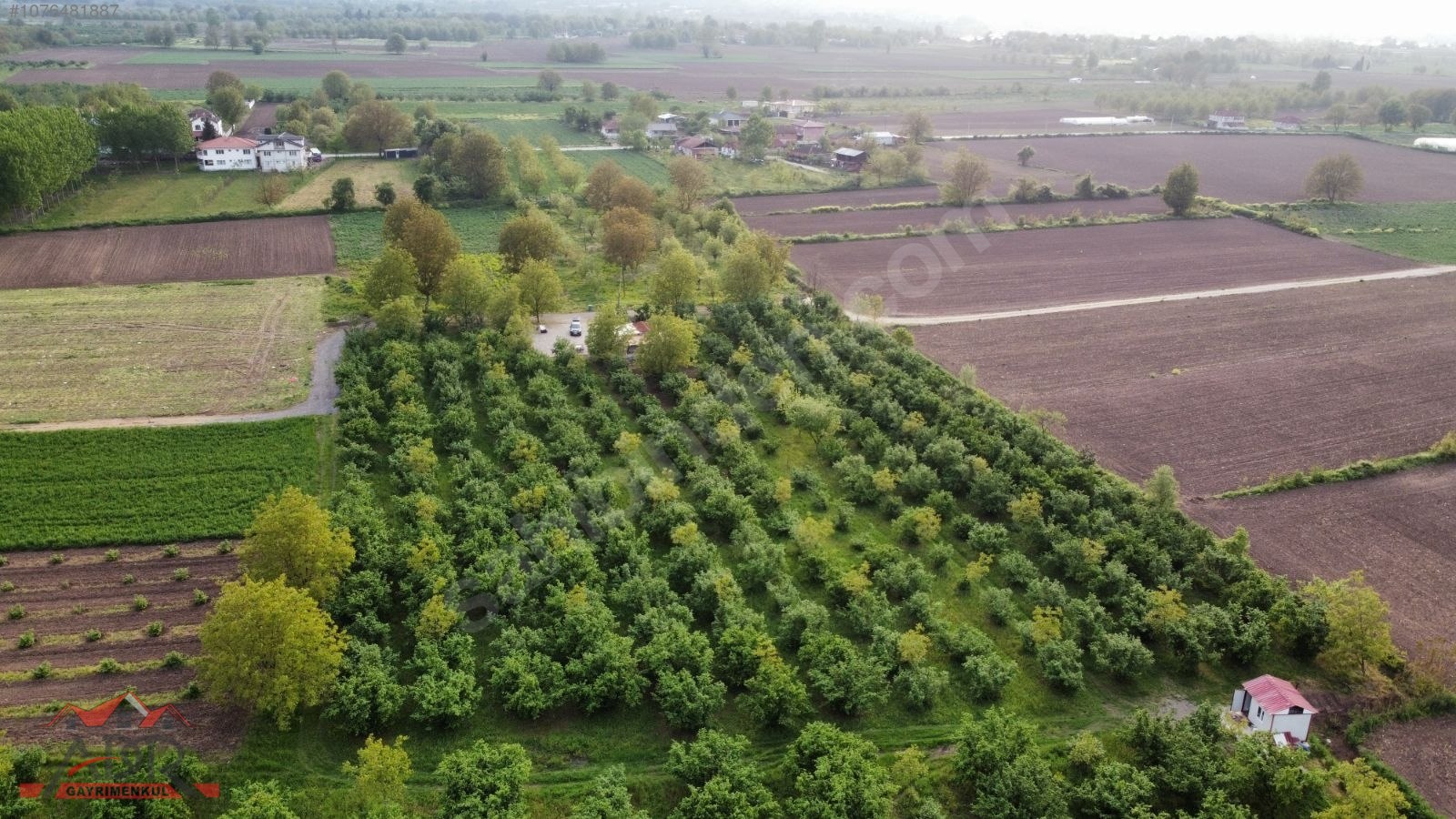 SAKARYA ARİFİYE KEMALİYE KÖYÜNDE 10866M2SATILIK.yıl sonuna kadar - SAKARYA ARİFİYE fotoğraf 27