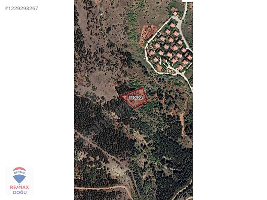 REMAX DOĞUDAN GEZİNDE SATILIK 3.053 M2 TARLA - ELAZIĞ MADEN fotoğraf 2