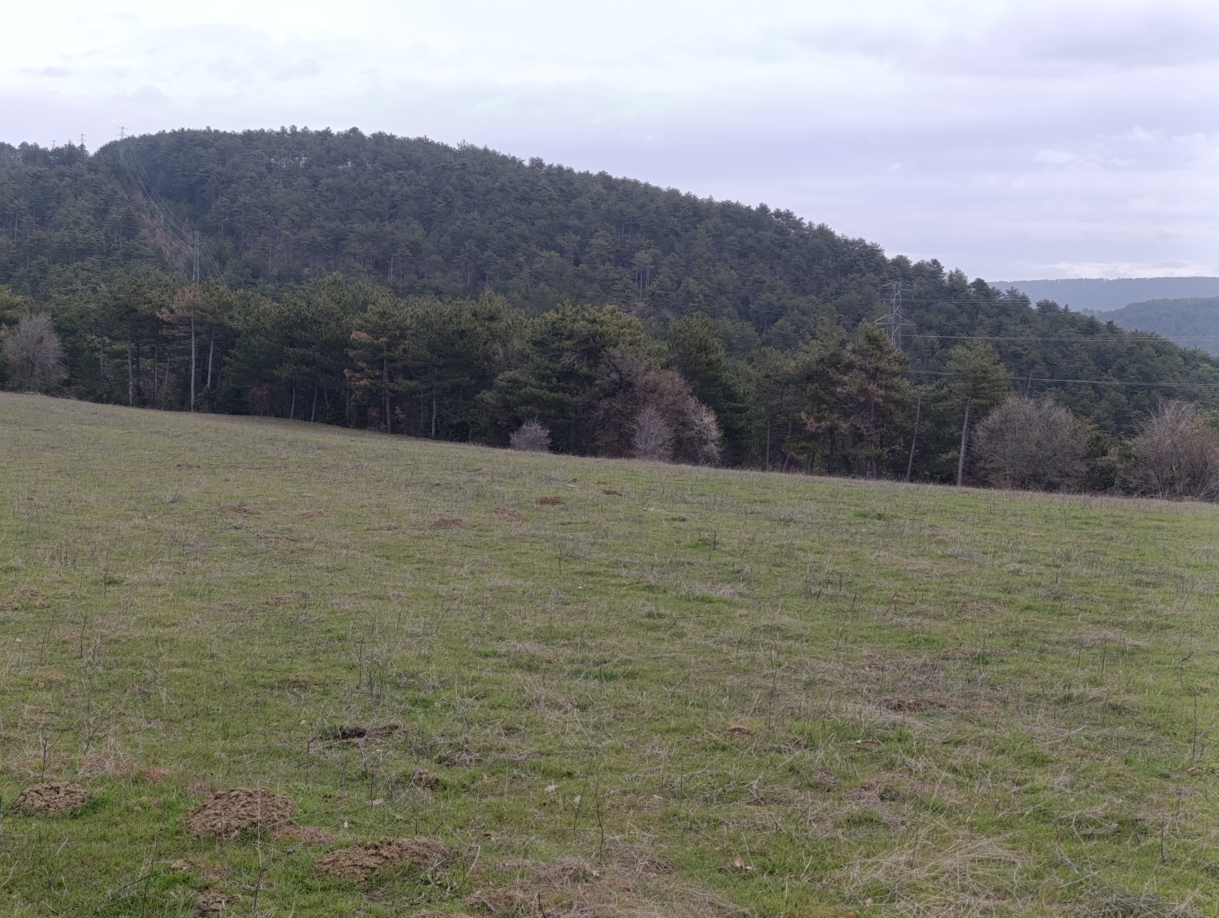 BOLU GÖYNÜK BOZCARMUT KÖYÜNDE KÜMES YERİ - BOLU GÖYNÜK fotoğraf 5