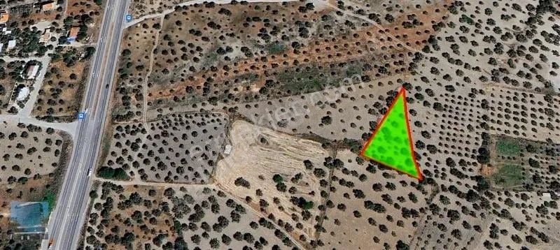Yenişakran yola yakın fırsat zeytinlik TEL ÖRGÜLÜ BUNGALOV EV. - İZMİR ALİAĞA fotoğraf 13
