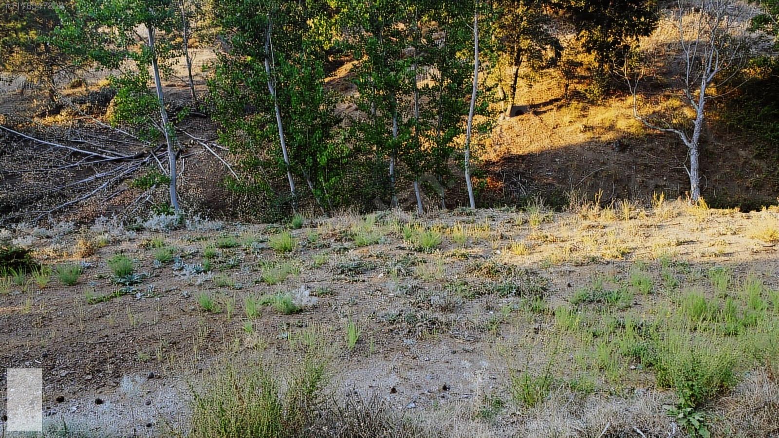 ÇANAKKALE BAYRAMİÇ SERHAT KÖYÜ 592 m2 % 80 İMARLI ARSA - ÇANAKKALE BAYRAMİÇ fotoğraf 11
