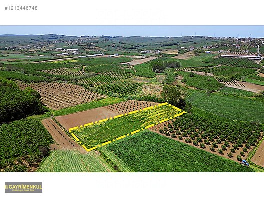 YATIRIM FIRSATI 3.962 M² TARLA FERİZLİ SARIAHMETLER MAH. - SAKARYA FERİZLİ fotoğraf 16