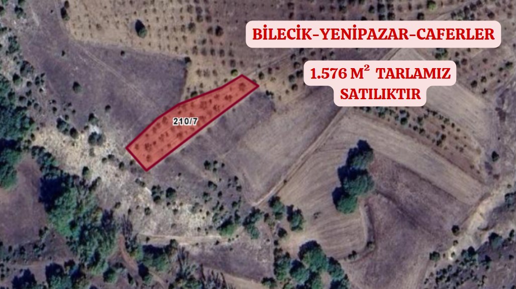 BİLECİK YENİPAZAR CAFERLER KÖYÜNDE 1.576 M² TARLA SATILIKTIR - BİLECİK YENİPAZAR fotoğraf 2