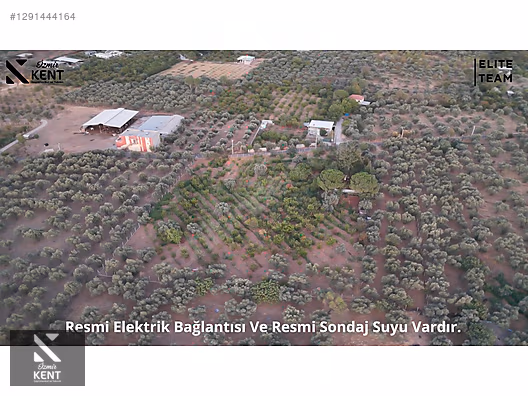 Kemalpaşa Çınar Satılık 8.507 m2 Bahçe - İZMİR KEMALPAŞA fotoğraf 36