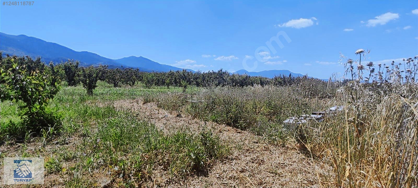 Kemalpaşa Örende 1234 M2 Satılık Müstakil Bahçe - İZMİR KEMALPAŞA fotoğraf 16