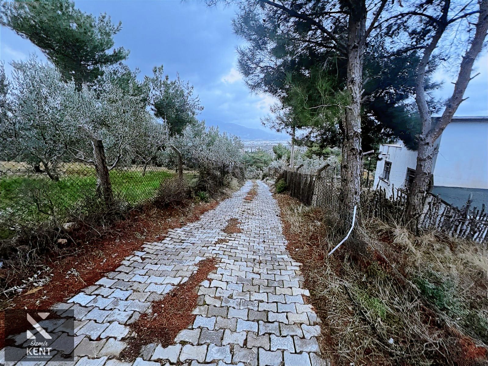 Kemalpaşa Armutlu Hürriyet Mah. Satılık 1.950 m2 Bahçe - İZMİR KEMALPAŞA fotoğraf 36