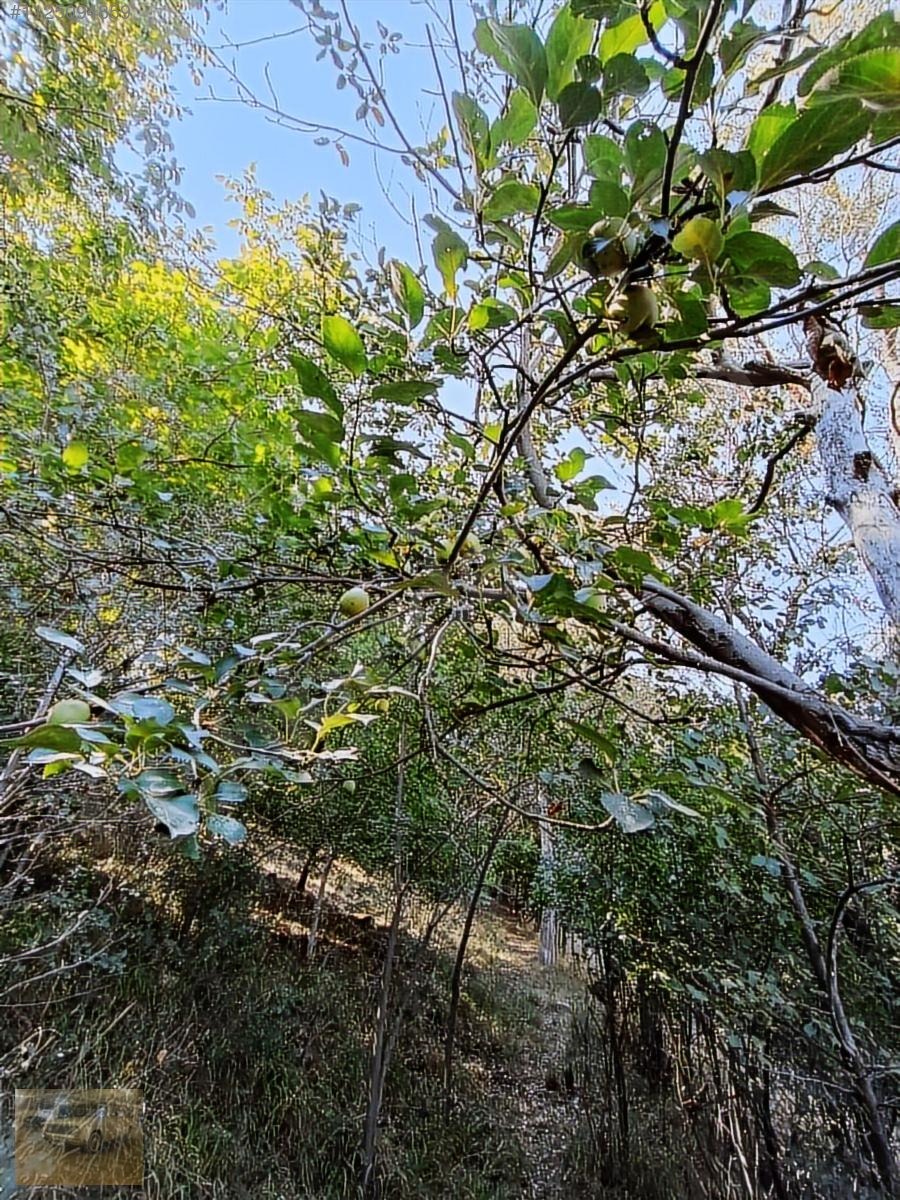 Kemer belenlide kòyiçi arsa bahçe suyu sınırsız sulama - BURDUR KEMER fotoğraf 3