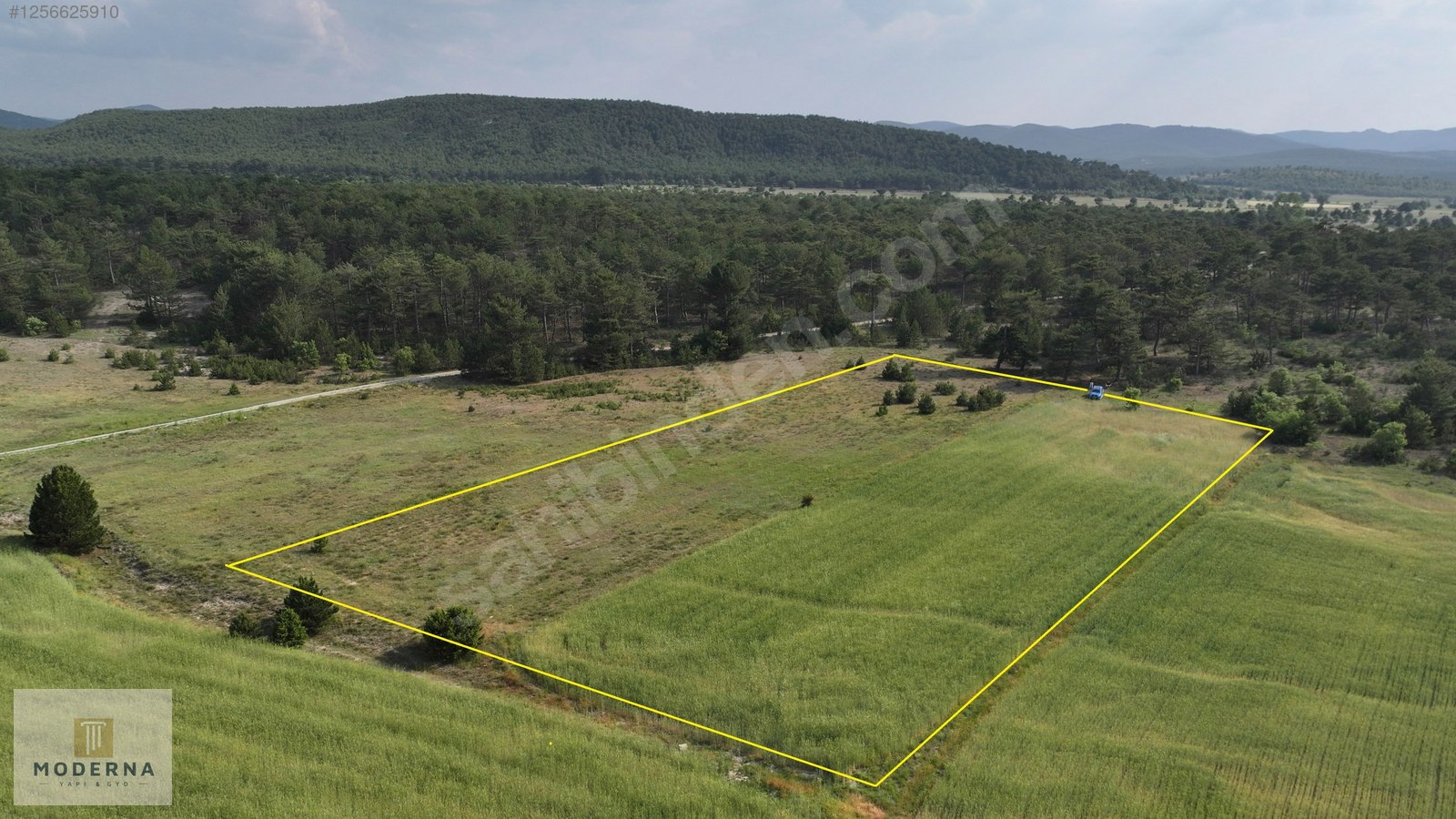 ESKİŞEHİR ORMANA NAZIR MANZARALI 7382 M2 HALI GİBİ TEK TAPU ARSA - ESKİŞEHİR SEYİTGAZİ fotoğraf 13