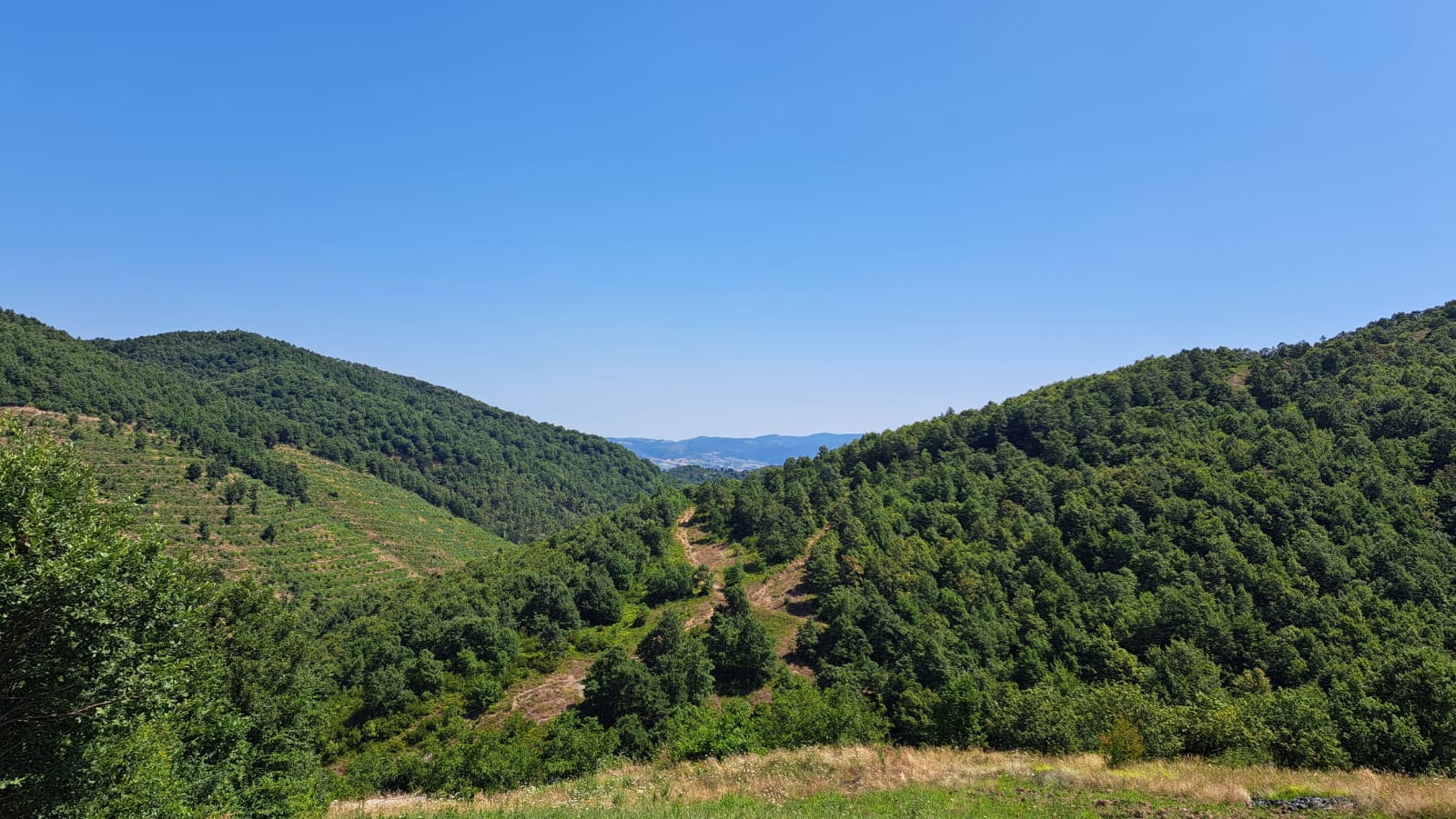 İlan Resmi