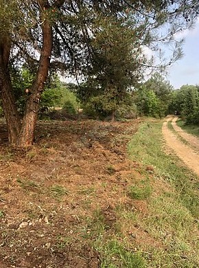 BURSA KELEŞ  BELENÖREN'DE 825 M²  TARLA  SATILIKTIR. - BURSA KELES fotoğraf 13