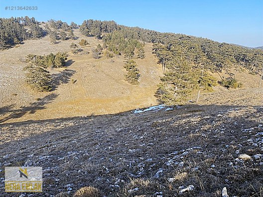 BİLECİK BOZÜYÜK'DE TOPRAĞIM OLSUN DİYENE TEK TAPU KELEPİR TARLA - BİLECİK BOZÜYÜK fotoğraf 8