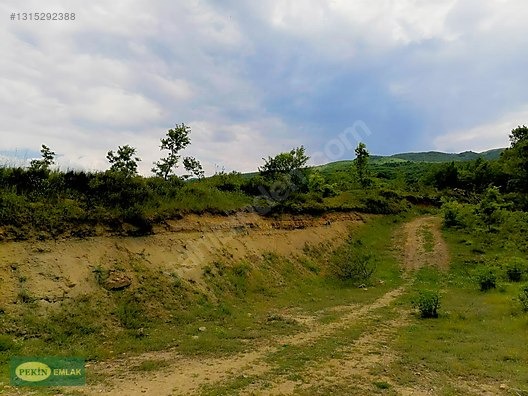 GÖLCÜK SİRETİYE KÖYÜNDE 3443 M2 SATILIK TARLA - KOCAELİ GÖLCÜK fotoğraf 3
