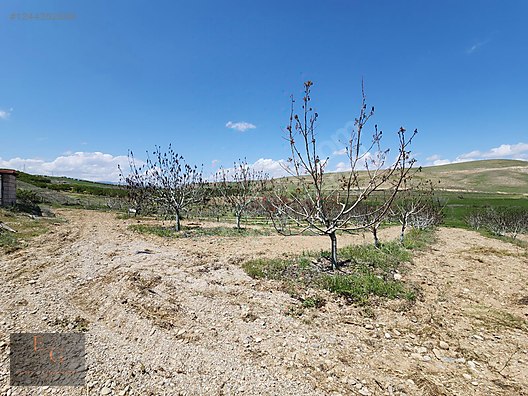 EMTİADAN DURANLARDA SİVAS YOLUNA 4 DK MESAFEDE TEK TAPU 14 DÖNÜM - MALATYA YEŞİLYURT fotoğraf 3