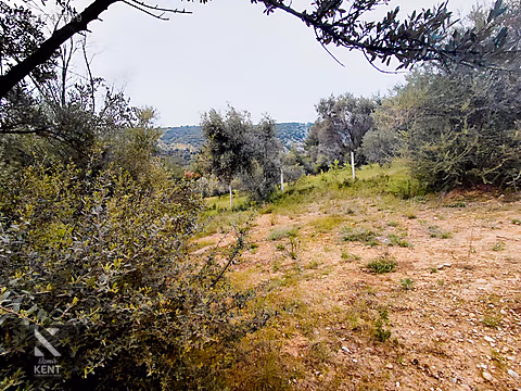 Kemalpaşa Yenmiş'de Satılık Bahçe 406 m2 - İZMİR KEMALPAŞA fotoğraf 7