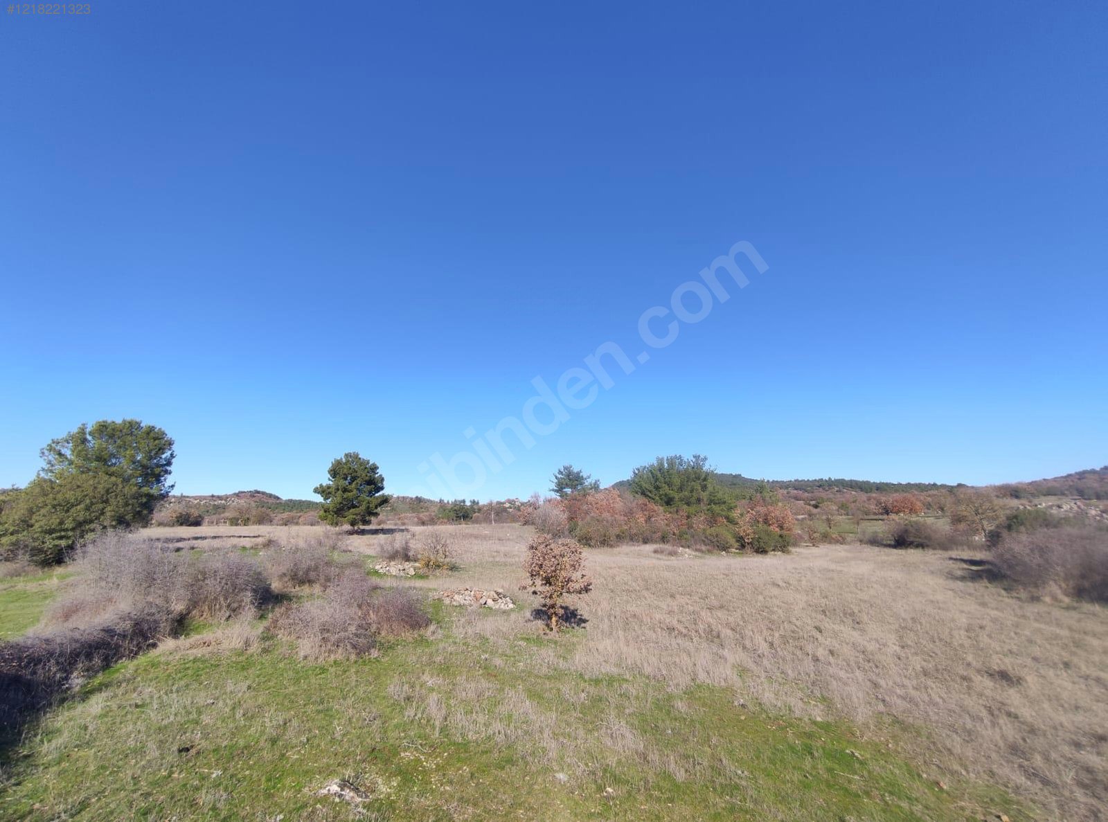 ÇANAKKALE AYVACIK  KÜÇÜKHUSUN'DA 13.388 M²  TARLA  SATILIKTIR. - ÇANAKKALE AYVACIK fotoğraf 15
