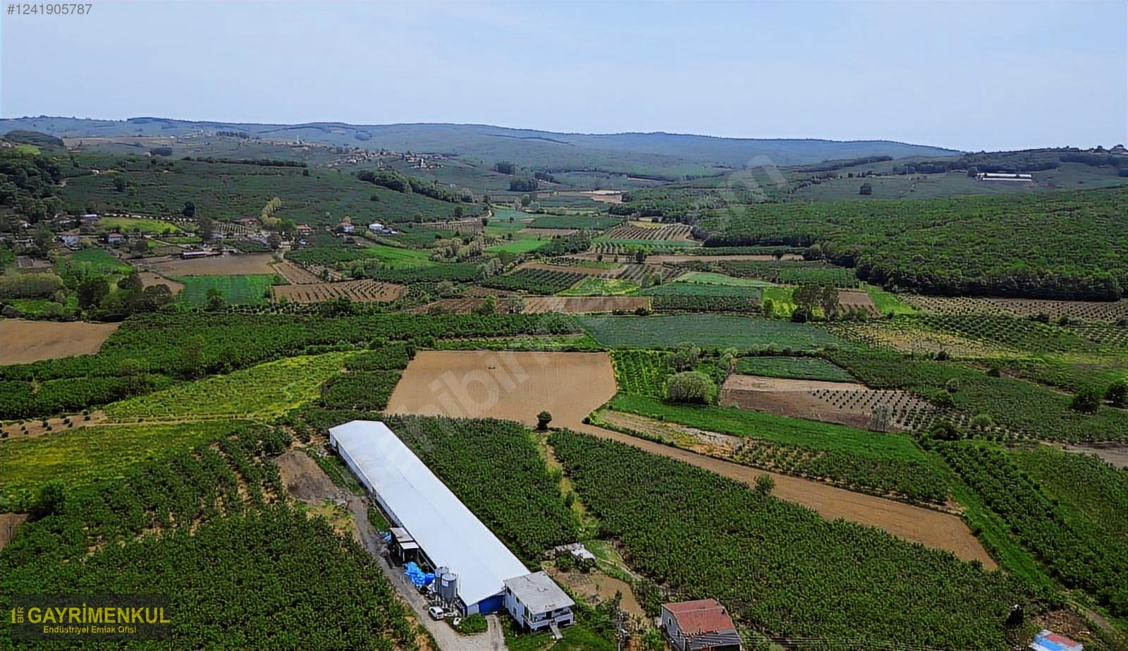 11.752 M² FIRSAT FINDIK BAHÇESİ SAKARYA KAYNARCA ZİAHMET MAH. - SAKARYA KAYNARCA fotoğraf 26