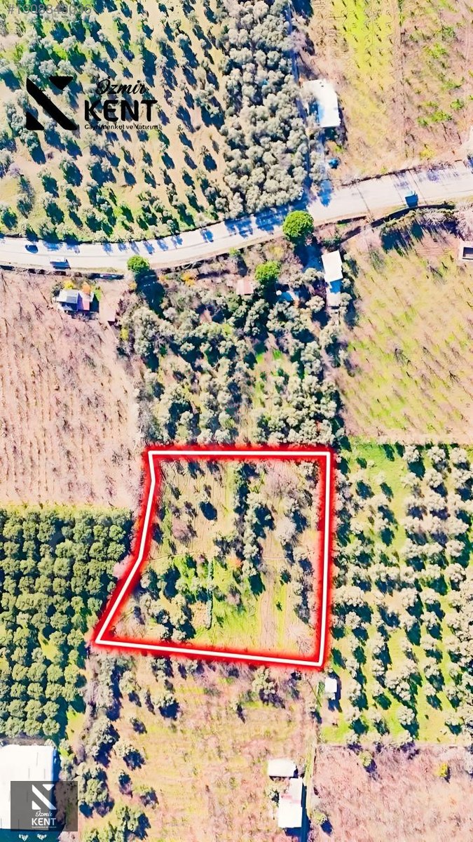 Kemalpaşa M.Akif Ersoy Satılık 7.250 m2 Bahçe Tek Tapu - İZMİR KEMALPAŞA fotoğraf 41
