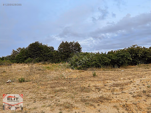 SAKARYA KARASU'DA SATILIK FRSAT KÖY İÇİNDE 635 metre² KUPON ARSA - SAKARYA KARASU fotoğraf 10