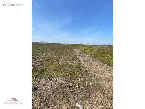 KAFKAS EMLAKTAN DEMİRELİ DE 5.600 M2 TARLA - BURSA MUSTAFAKEMALPAŞA fotoğraf 7